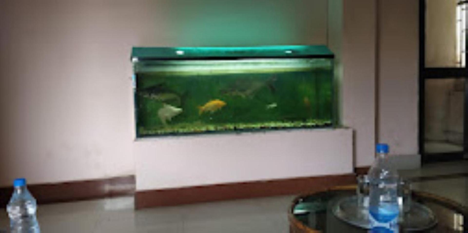 Hotel Blue Wheel,Bhuvanesvar Kültér fotó